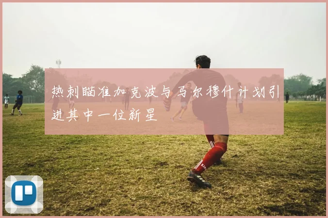 热刺瞄准加克波与马尔穆什计划引进其中一位新星