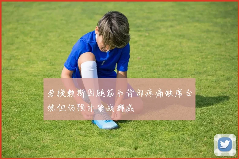 劳模赖斯因腿筋和背部疼痛缺席合练但仍预计能战挪威